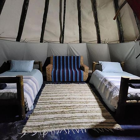 Tsitsikamma Wolf Sanctuary Eco Cabins & Teepees 斯托姆勒菲 外观 照片