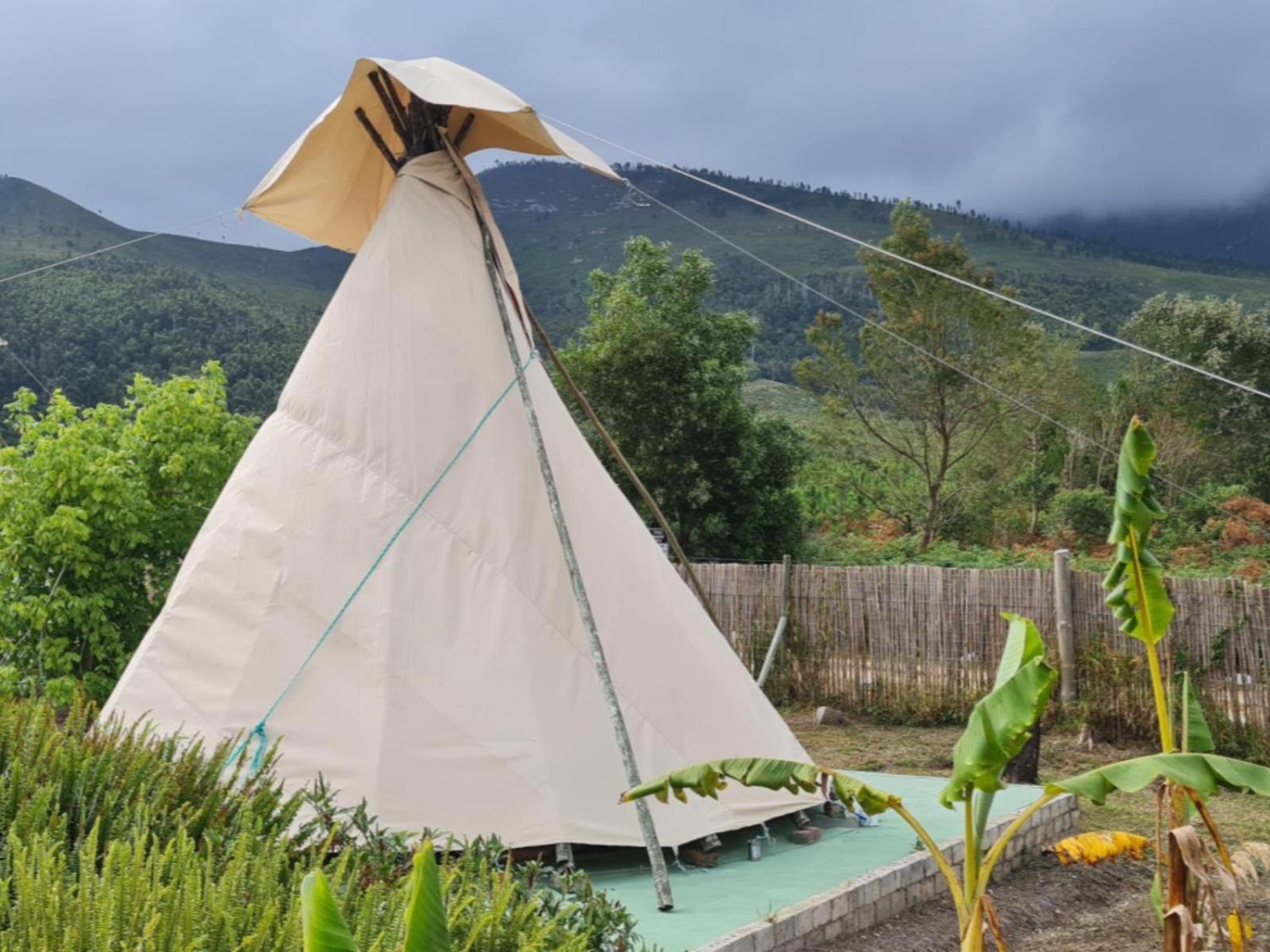 Tsitsikamma Wolf Sanctuary Eco Cabins & Teepees 斯托姆勒菲 外观 照片
