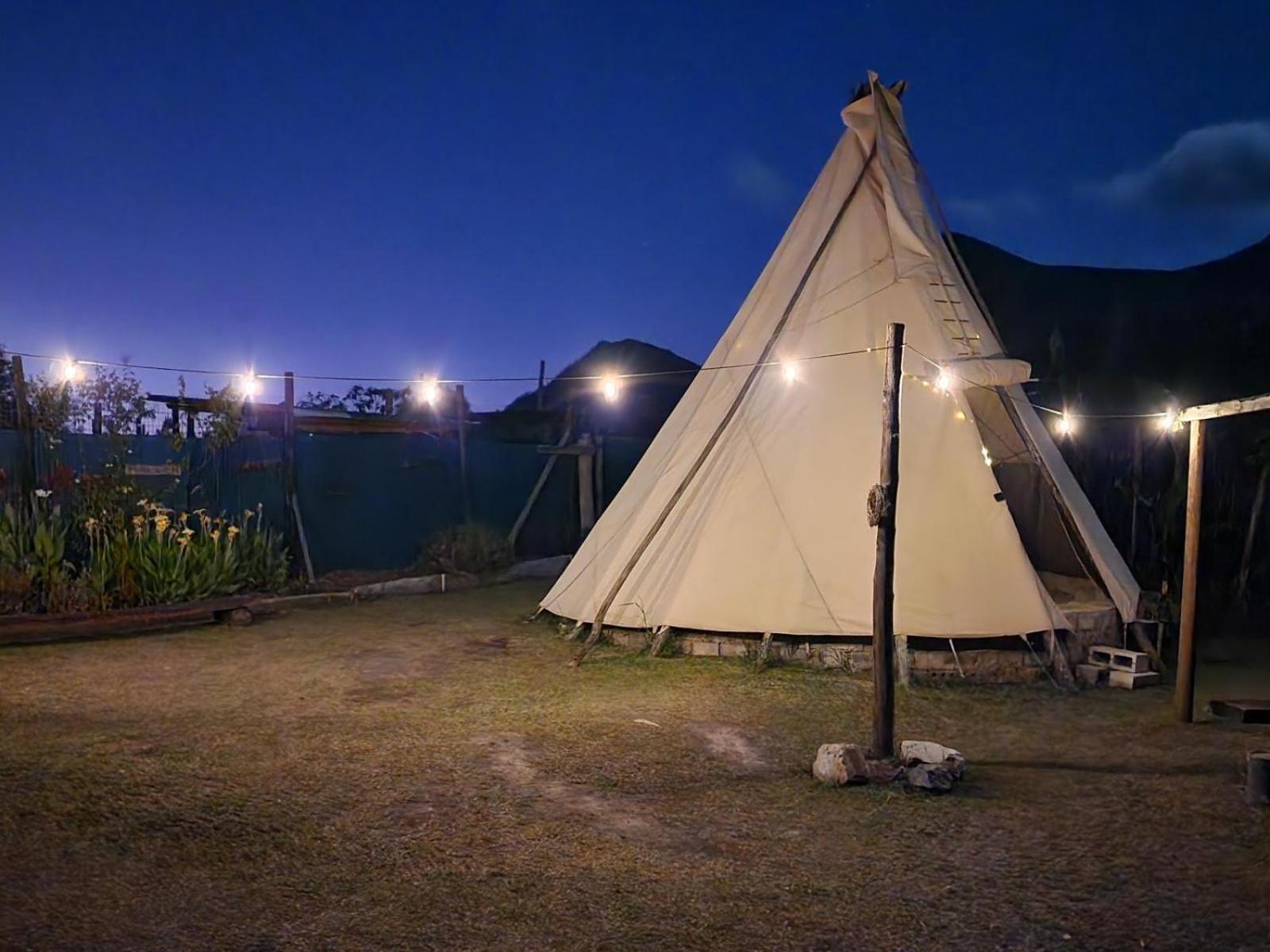 Tsitsikamma Wolf Sanctuary Eco Cabins & Teepees 斯托姆勒菲 外观 照片