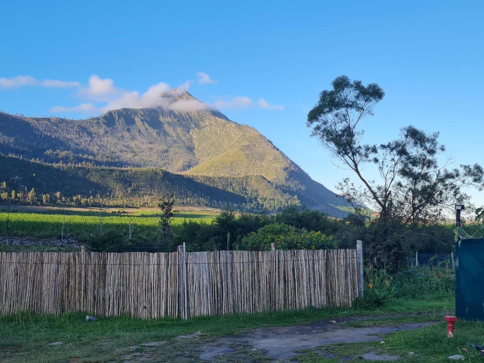 Tsitsikamma Wolf Sanctuary Eco Cabins & Teepees 斯托姆勒菲 外观 照片