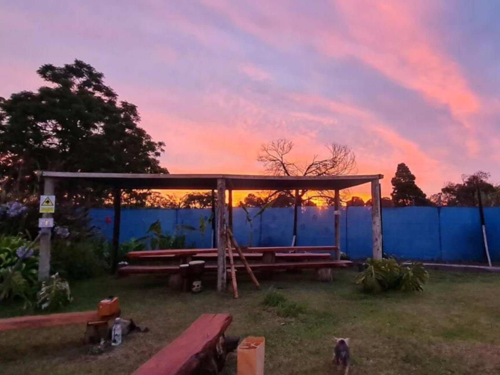Tsitsikamma Wolf Sanctuary Eco Cabins & Teepees 斯托姆勒菲 外观 照片