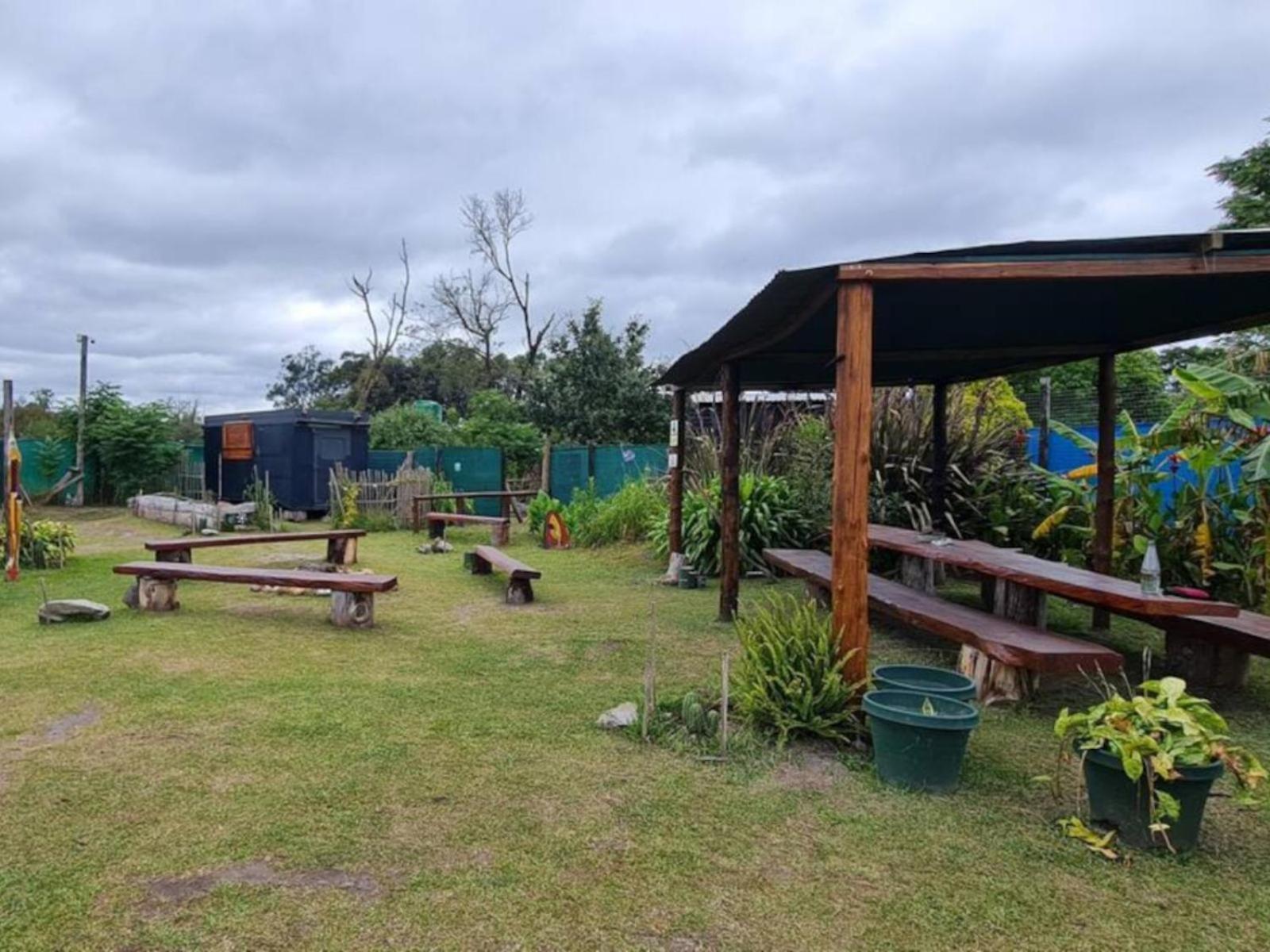 Tsitsikamma Wolf Sanctuary Eco Cabins & Teepees 斯托姆勒菲 外观 照片
