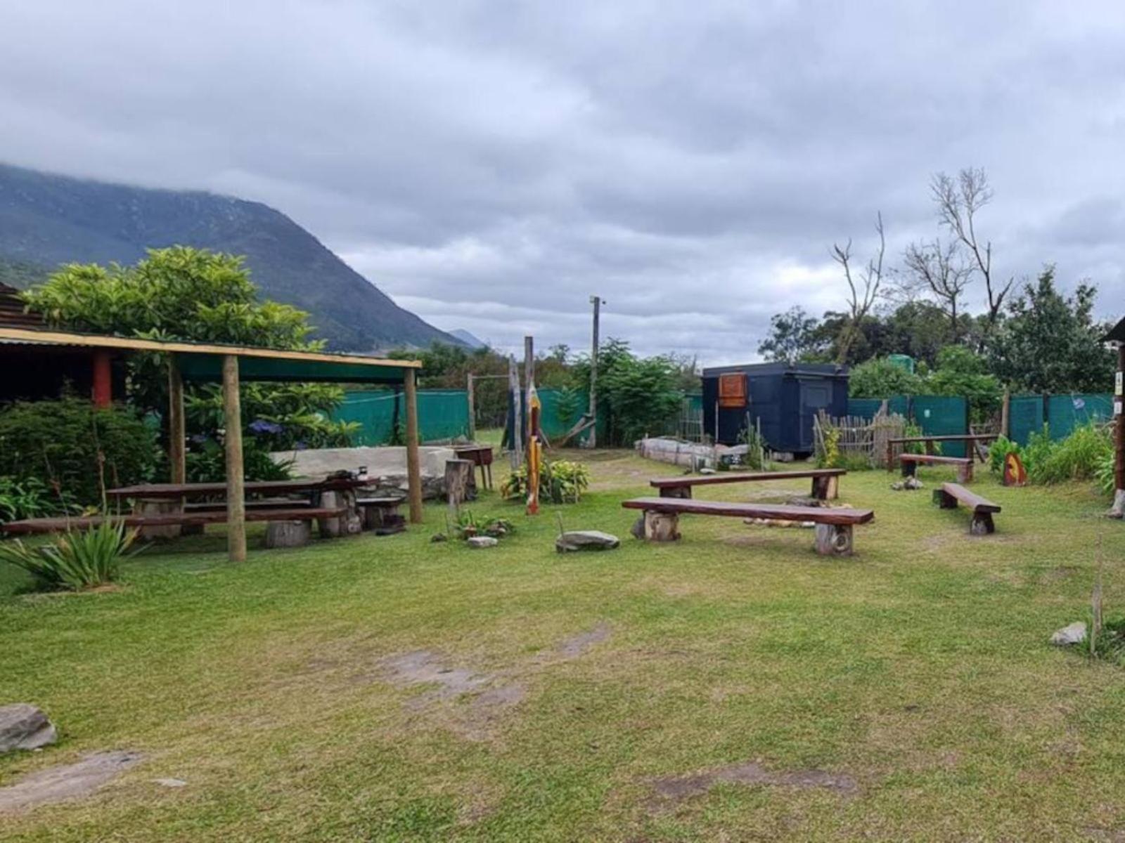 Tsitsikamma Wolf Sanctuary Eco Cabins & Teepees 斯托姆勒菲 外观 照片