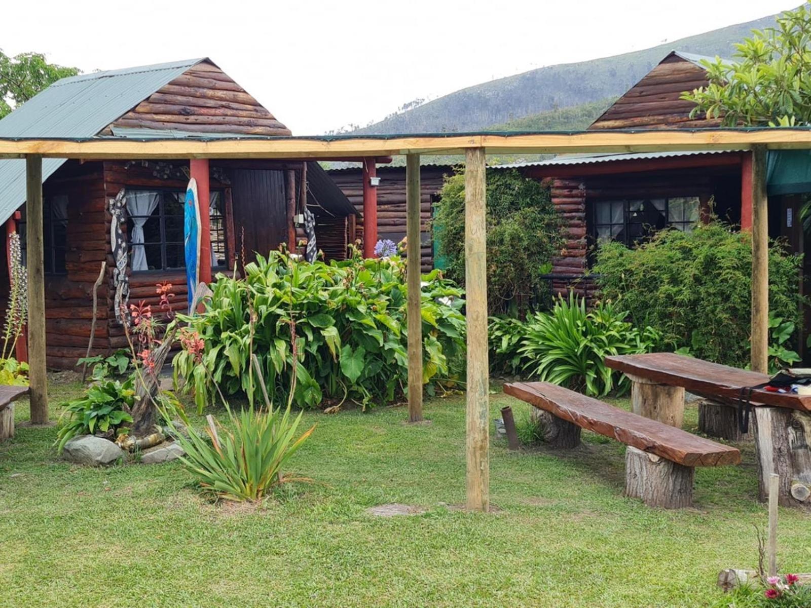Tsitsikamma Wolf Sanctuary Eco Cabins & Teepees 斯托姆勒菲 外观 照片