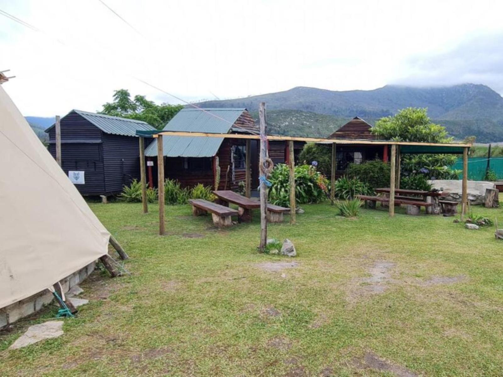 Tsitsikamma Wolf Sanctuary Eco Cabins & Teepees 斯托姆勒菲 外观 照片