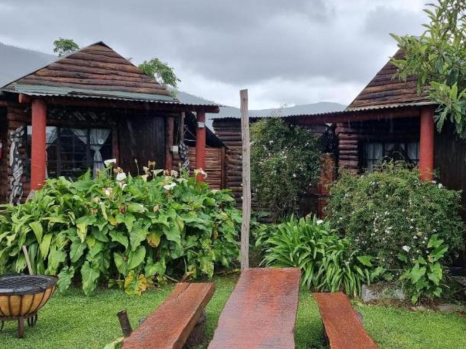 Tsitsikamma Wolf Sanctuary Eco Cabins & Teepees 斯托姆勒菲 外观 照片