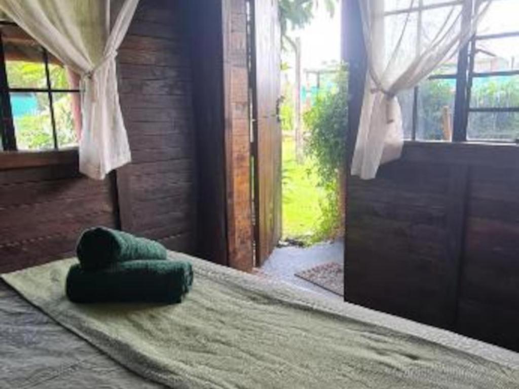 Tsitsikamma Wolf Sanctuary Eco Cabins & Teepees 斯托姆勒菲 客房 照片