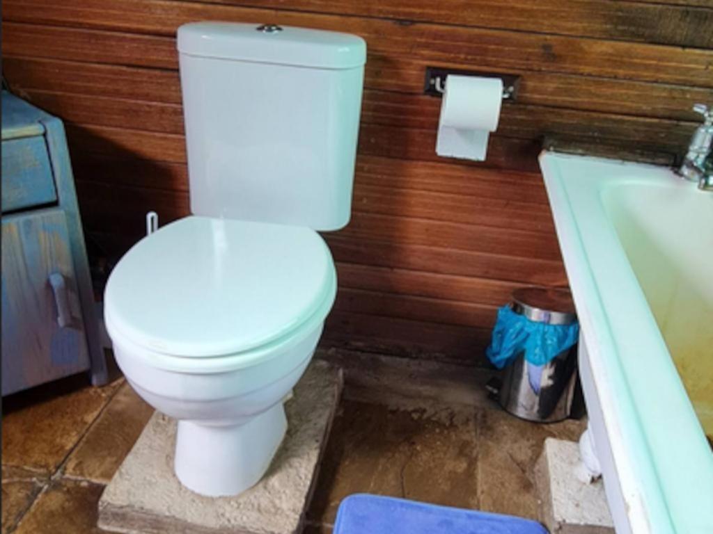 Tsitsikamma Wolf Sanctuary Eco Cabins & Teepees 斯托姆勒菲 客房 照片