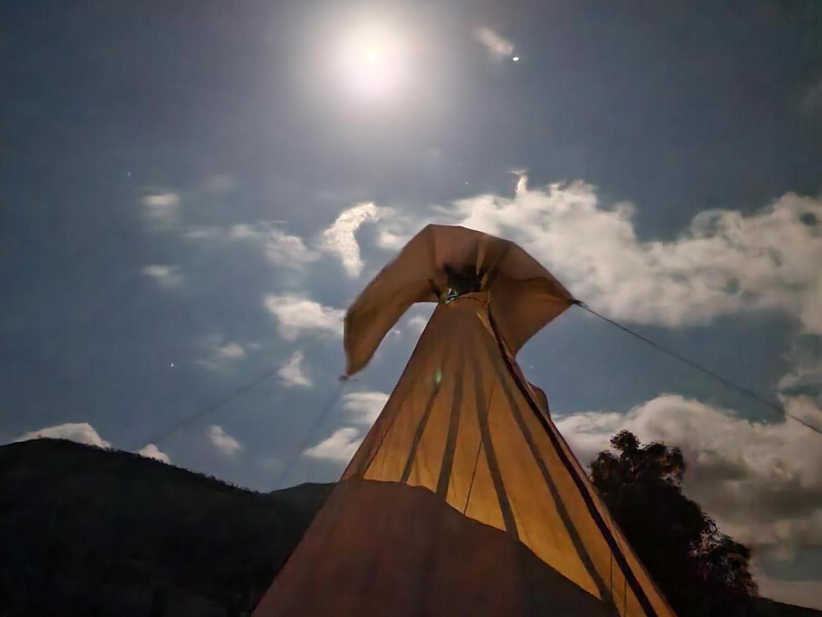 Tsitsikamma Wolf Sanctuary Eco Cabins & Teepees 斯托姆勒菲 客房 照片