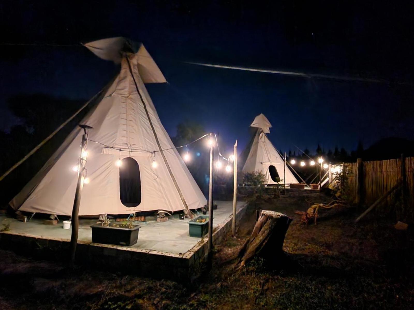 Tsitsikamma Wolf Sanctuary Eco Cabins & Teepees 斯托姆勒菲 客房 照片