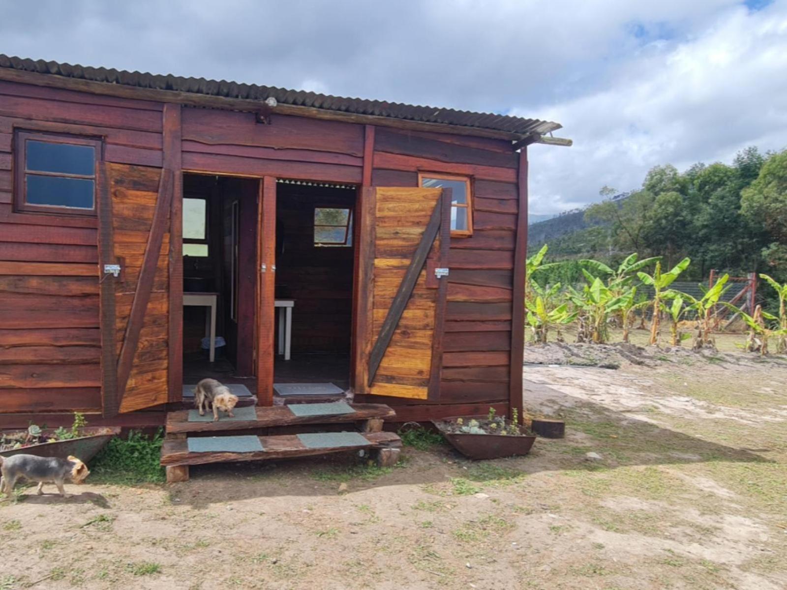 Tsitsikamma Wolf Sanctuary Eco Cabins & Teepees 斯托姆勒菲 客房 照片
