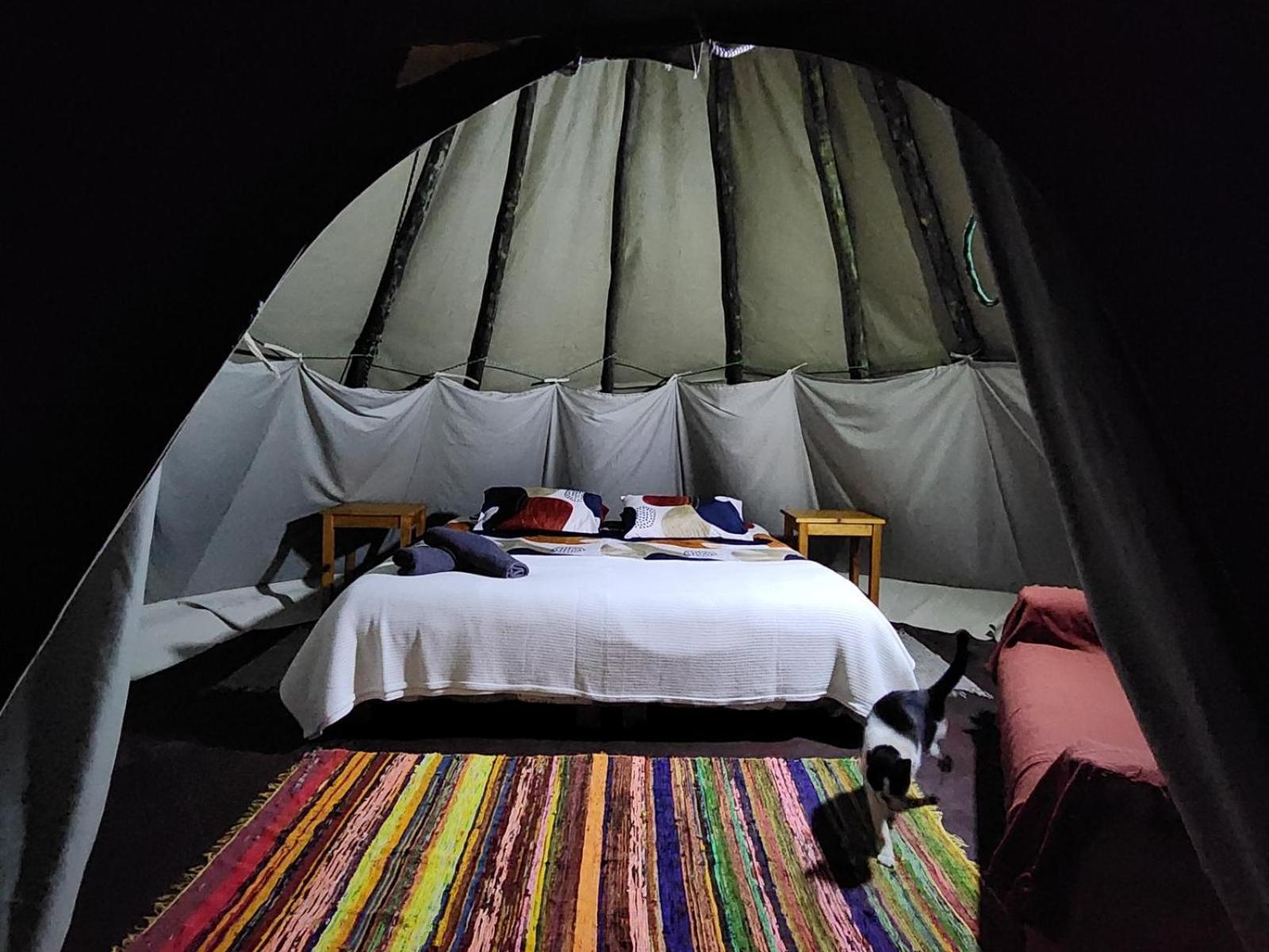 Tsitsikamma Wolf Sanctuary Eco Cabins & Teepees 斯托姆勒菲 客房 照片