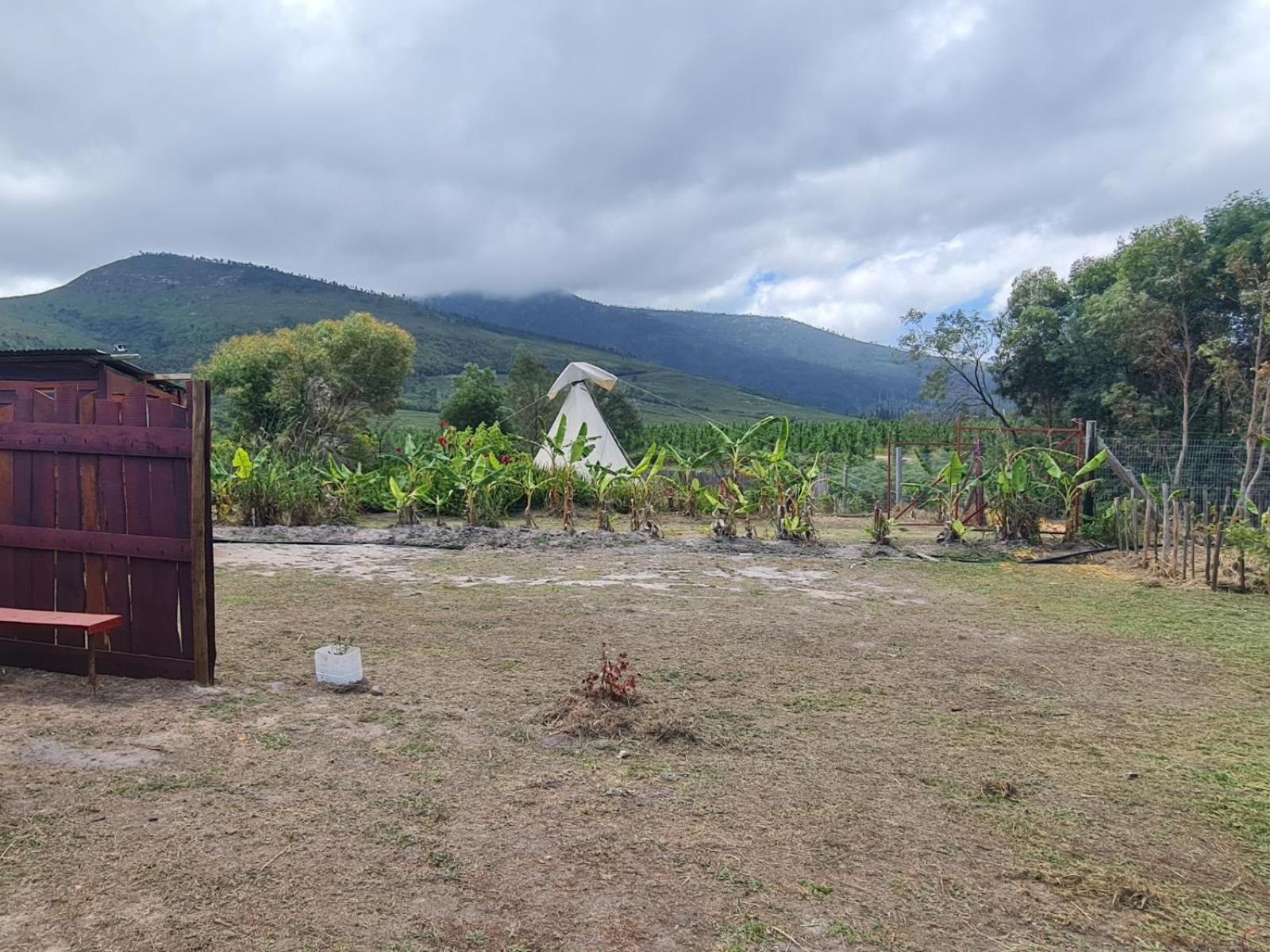 Tsitsikamma Wolf Sanctuary Eco Cabins & Teepees 斯托姆勒菲 客房 照片